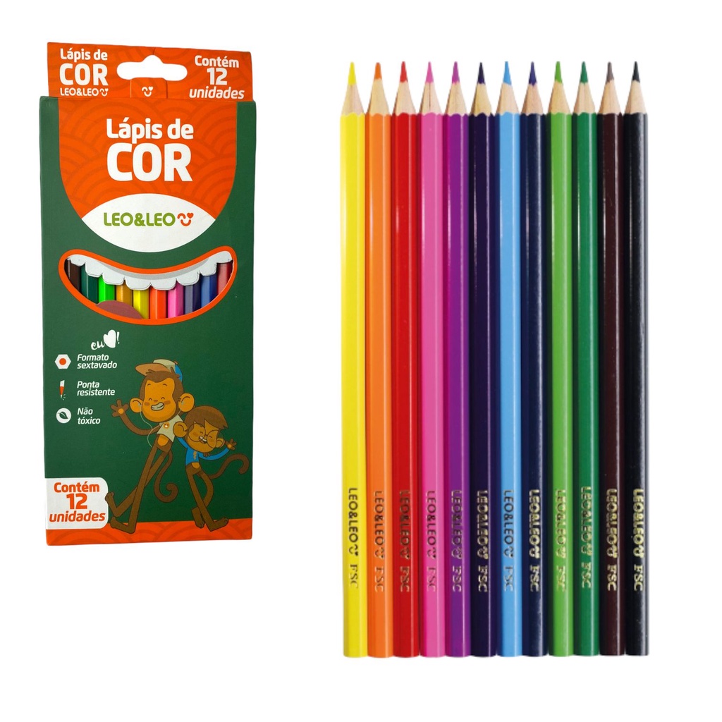 LÁPIS DE COR GROSSO